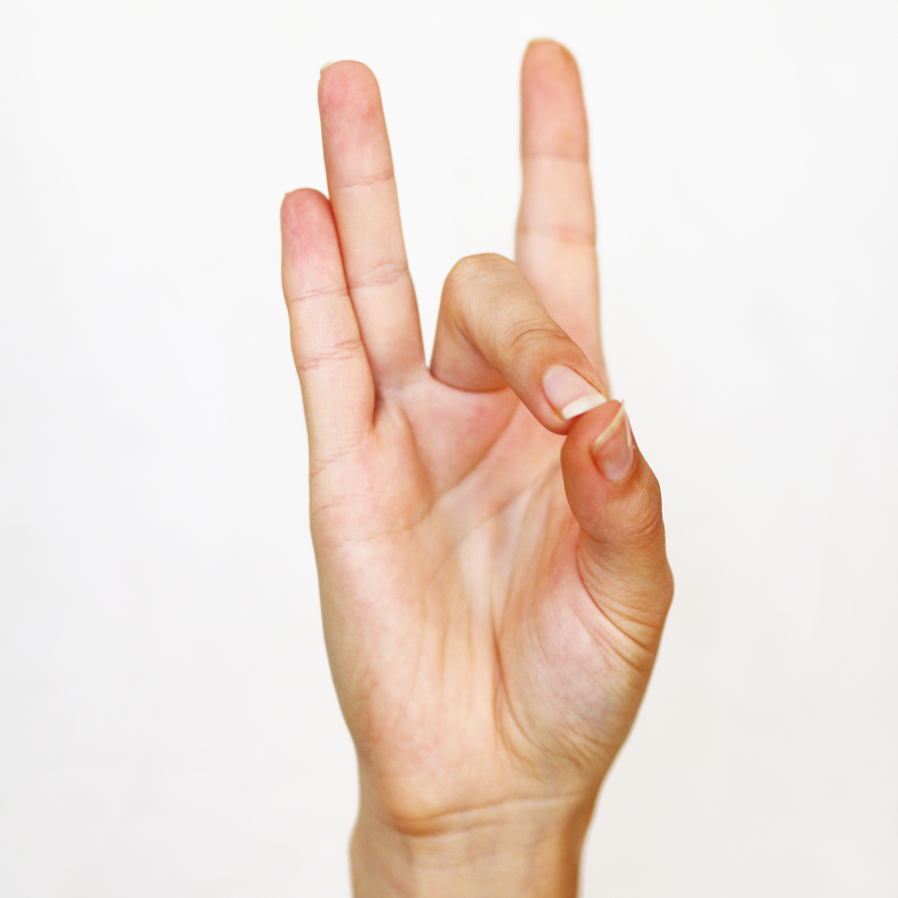 shunya shuni mudra